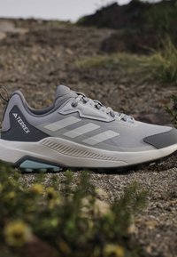 Γκρι και λευκό πεζοπορικό παπούτσι Adidas Terrex που βρίσκεται σε μια βραχώδη διαδρομή με πράσινα φυτά στο προσκήνιο και θολό φόντο.