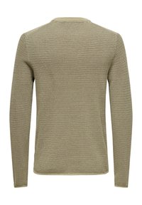 Only & Sons 12 STRIPE CREW - Strickpullover - braun