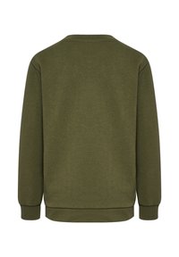 Olivgrüner Pullover mit Rundhalsausschnitt, langen Ärmeln sowie gerippten Bündchen und Saum. Glatter Stoff mit einfarbiger Textur und ohne sichtbare Logos.