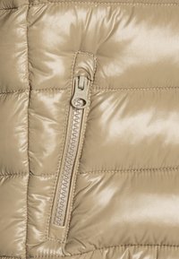Save the duck GAVIN UNISEX - Veste d'hiver - wood beige