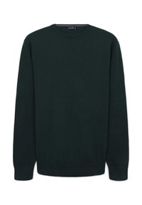 PROFILI CONTRASTO - Maglione - verde bosco