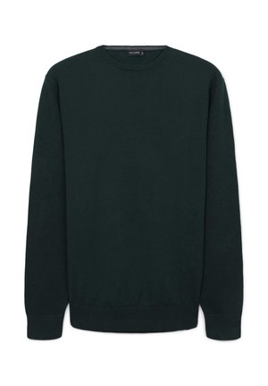 Dark green long-sleeve sweater with crew neckline and ribbed cuffs and hem, displayed on a white background.