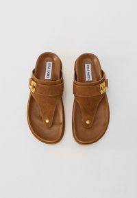 Pair of brown suede Steve Madden thong sandals with gold accent studs and branded buckles on white background.