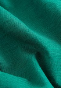 Next SEMI - Pikkade varrukatega topp - green bear