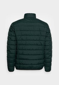 Mörkgrön vadderad jacka med horisontell quiltad design, hög krage och elastiska muddar. Mjukt, vadderat material med en slät yta.