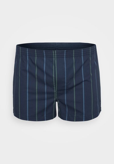 Shorts de bain navy avec des rayures verticales vertes et bleues. Dotés d'une taille élastique et de détails brodés. Fabriqués à partir d'un tissu léger.