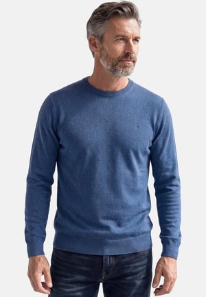 Mann mit grauem Haar und Bart, der einen blauen Rundhalsausschnitt-Pullover und dunkle Jeans trägt, schaut nach rechts vor einem schlichten Hintergrund.