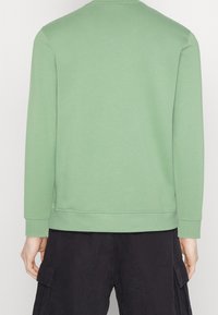Lichtgroene sweatshirt met lange mouwen, ronde halslijn en geribbelde manchetten en onderrand. Gemaakt van zachte stof, met een minimale textuur.