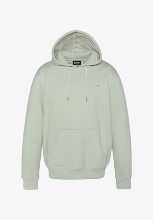 Schott Felpa con cappuccio - sage pastel