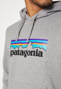 Patagonia Jersey con capucha - grey