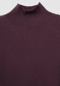 Maglioncino a collo alto rigato in un profondo tono di viola, caratterizzato da una consistenza morbida e un bordo arricciato attorno al colletto.