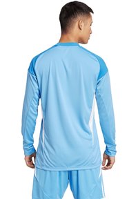 Maglietta sportiva a maniche lunghe di colore blu chiaro, realizzata in tessuto morbido, con accenti a contrasto sulle spalle e pannelli laterali bianchi.