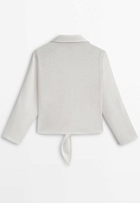 Lichtgrijs cropped shirt met een kraag, lange mouwen en een strikdetail aan de achterkant. Zachte textuur met een gladde, lichte uitstraling.