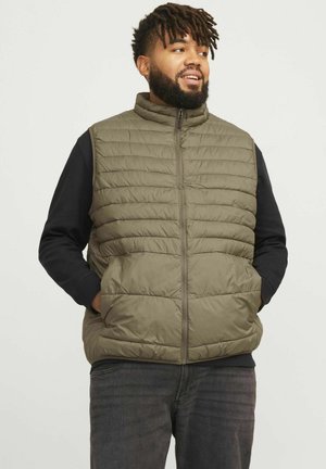 PUFFER PLUS SIZE  - Weste - canteen