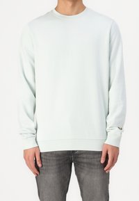 Světle mátově zelená mikina z měkké látky, s dlouhými rukávy, kulatým výstřihem a malým logem na přední straně.