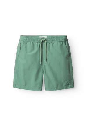 JACKSON PLAIN - Lühikesed püksid - green sea