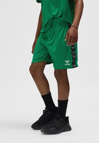 Groene atletische shorts met een zwart chevronpatroon aan de zijkanten, gemaakt van lichtgewicht stof. Gecombineerd met zwarte sokken en schoenen.