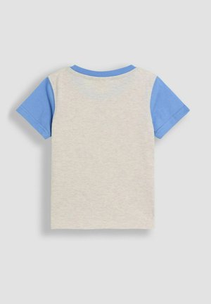 T-shirt met korte mouwen, lichtgrijze body en blauwe mouwen. Zachte katoenen textuur, ronde kraag en nette stiksels.