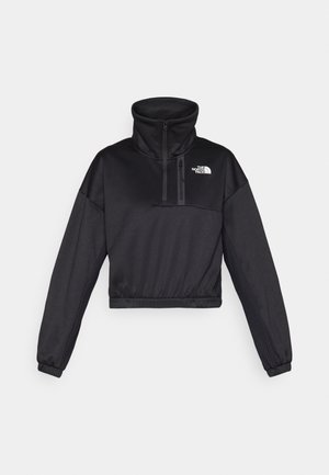 Svart cropped hettegenser med høy krage, halv glidelås, ribbede detaljer og The North Face-logo på brystet. Laget av glatt stoff.