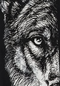Boceto en blanco y negro en primer plano de un ojo intenso de perro y la textura de su pelaje sobre un fondo oscuro, capturando las detalladas líneas del pelaje y el sombreado.