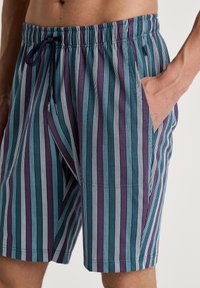 Zwemshorts voor heren met verticale strepen in teal, diep paars en wit. Gemaakt van lichtgewicht stof met een elastische tailleband en zijzakken.