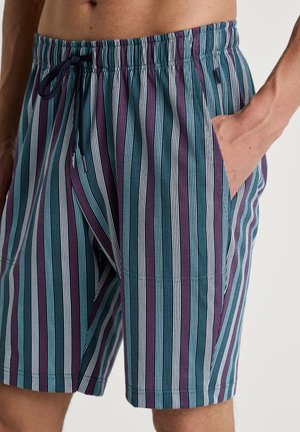 Zwemshorts voor heren met verticale strepen in teal, diep paars en wit. Gemaakt van lichtgewicht stof met een elastische tailleband en zijzakken.