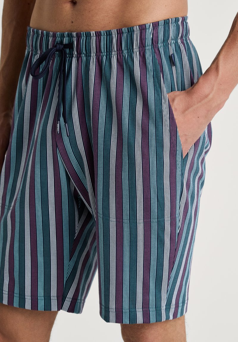 Zwemshorts voor heren met verticale strepen in teal, diep paars en wit. Gemaakt van lichtgewicht stof met een elastische tailleband en zijzakken.