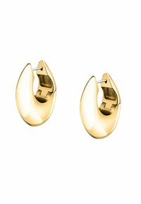 Orecchini a cerchio color oro con una superficie liscia e riflettente. Presentano una forma a goccia arrotondata e un meccanismo di chiusura a cerniera sicuro.