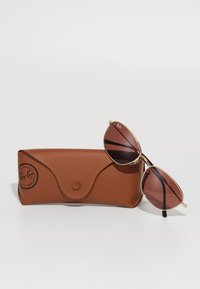 Ray-Ban sunčane naočale s tamnosmešnim staklima, zlatnim metalnim okvirom i crnim akcentima, postavljene pored smešnog kožnog futrola.