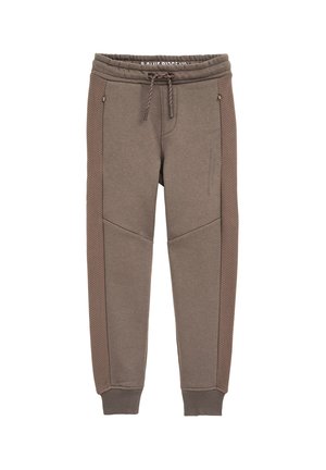 BLUE RIDGE - Tepláky - taupe