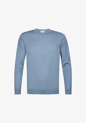 Helleblauer Baumwollpullover mit langen Ärmeln, rundem Ausschnitt, gerippten Bündchen und glatter Textur. Minimalistisches Design ohne Muster.