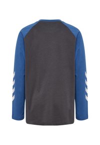 Långärmad skjorta med en mörkgrå kropp och blå raglanärmar. Vänster ärm har vita diagonala ränder. Slät textur.