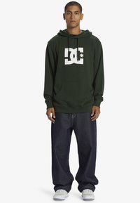 DC Shoes STAR PH - Jersey con capucha - gzh0 mountain view