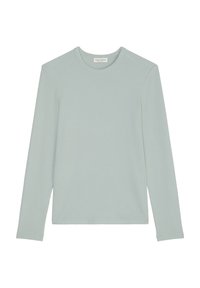 Non selezionato, frozen mint