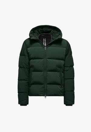 Green puffer jacket with a zip front, drawstring hood, and two front pockets. Features a quilted pattern and elastic cuffs.
