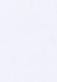 Terranova RICAMO COLLEGE - T-shirt con stampa - bianco ottico