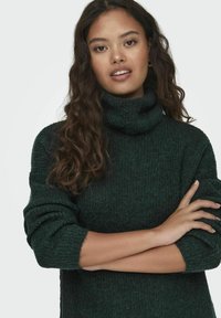 JDY INGEBORG LIFE ROLL NECK - Strickkleid - scarab