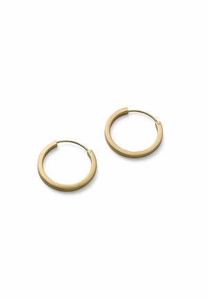 Pāris gludu zelta riņķu auskaru ar plānām stieplei līdzīgām aizdares detaļām uz balta fona.