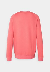 Koralfarbener Pullover mit langen Raglanärmeln, Rundhalsausschnitt, gerippten Bündchen und Saum. Weiche Textur, einfarbig, keine sichtbaren Grafiken oder Muster.