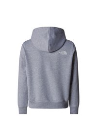 Sweat à capuche gris à manches longues avec le logo The North Face sur le haut du dos, vu de dos.
