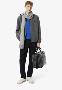 Nuori mies, jolla on sotkuinen vaaleanblondi hius, pukeutuu harmaaseen neuletakkiin sinisen paidan päällä ja pitää kädessään kuvioitua laukku. Hän seisoo neutraalilla ilmeellä.