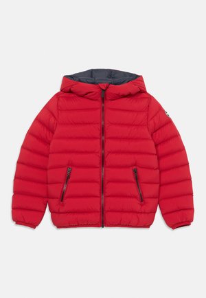 BOYS JACKET - Untuvatakki - red/blue