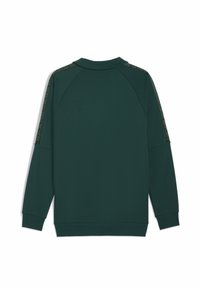 Hanorac verde închis cu o textură netedă, mâneci raglan și accente modelate pe umeri. Design simplu pe spate.