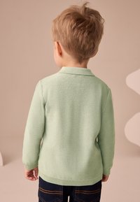Maglione verde chiaro lavorato a maglia con colletto polo e polsini a coste, indossato da un bambino, abbinato a jeans denim scuro. Vista posteriore.