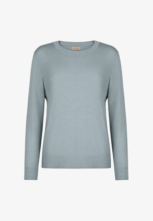 Lichtblauwe lange-mouwen trui met ronde hals en geribbelde boorden aan mouwen en zoom, weergegeven op een effen achtergrond.