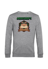 Felpa grigia con maniche lunghe caratterizzata da una grafica di un personaggio di Minecraft, testo verde sopra e un elemento distintivo marrone sotto.