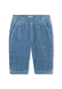 Shorts en velours côtelé bleu avec une surface texturée, dotés de deux poches latérales et d'une taille élastique pour plus de confort.