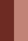 strawberry and chocolate