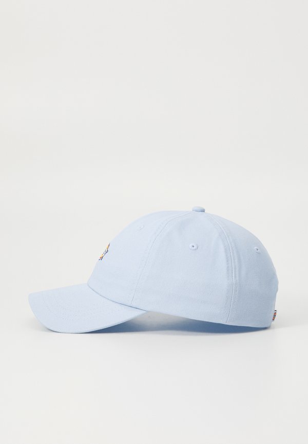 HARDWICK UNISEX - Cap - skyway2