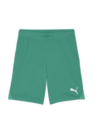 Shorts sportivi verdi realizzati in materiale leggero, con logo bianco, vita elastica e inserti in rete ai lati.